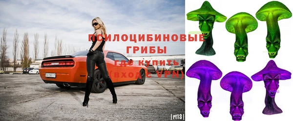 мдпв Карталы