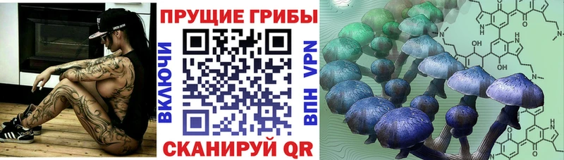 Купить  Реж  Псилоцибиновые грибы мухоморы 